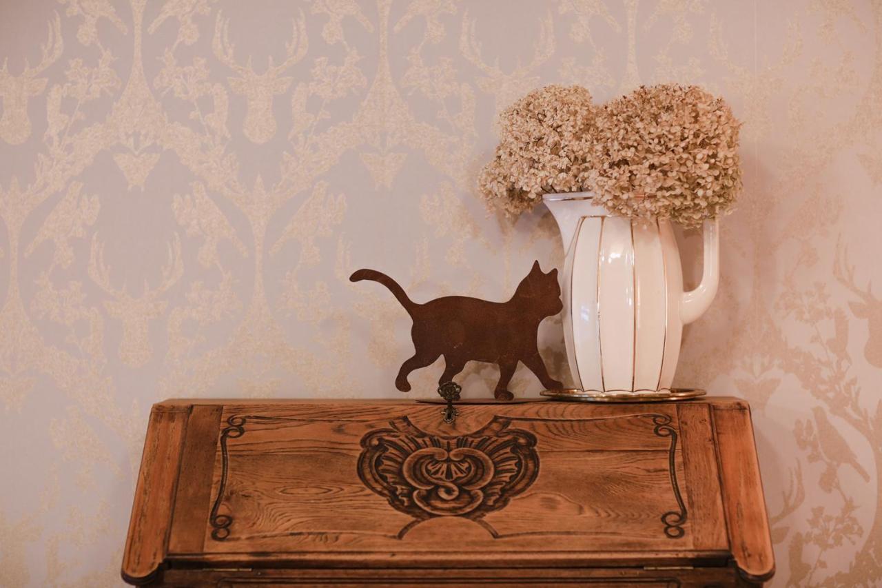 Les Chambres Du Chat Sainte-Cécile Esterno foto