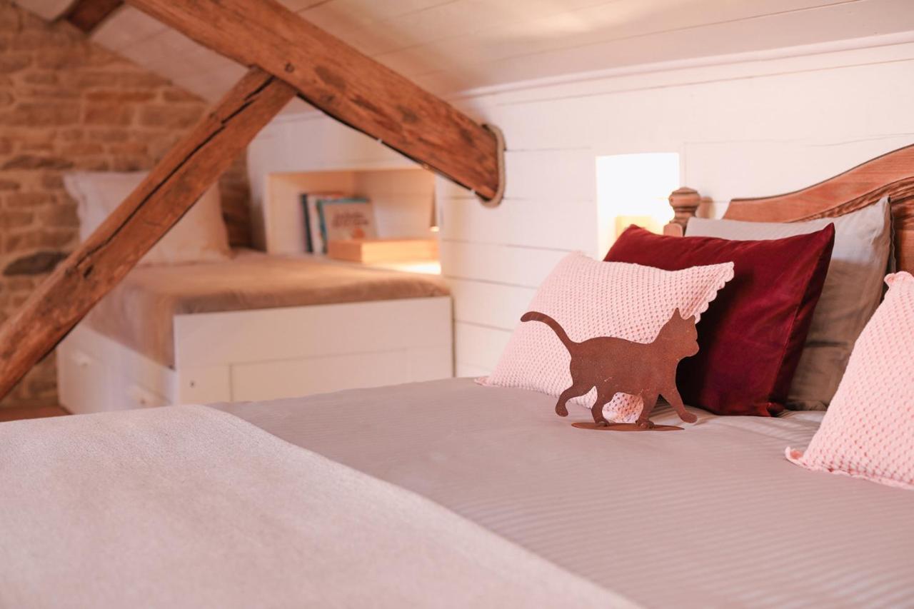 Les Chambres Du Chat Sainte-Cécile Esterno foto