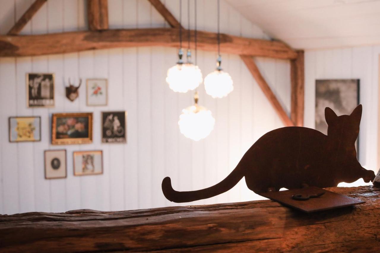 Les Chambres Du Chat Sainte-Cécile Esterno foto