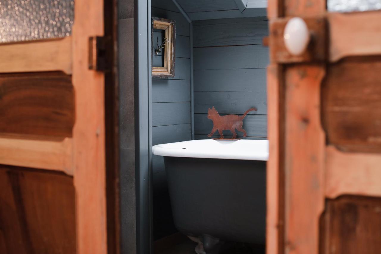 Les Chambres Du Chat Sainte-Cécile Esterno foto