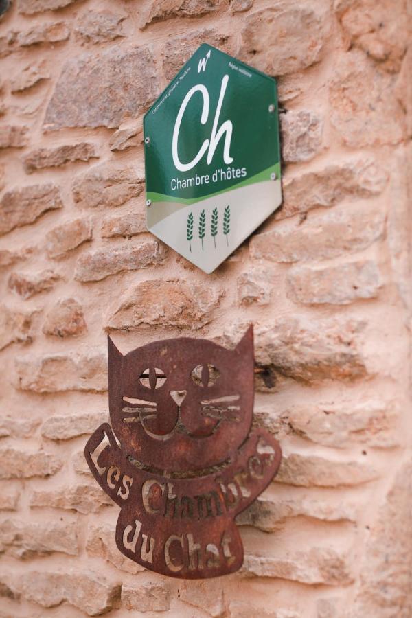 Les Chambres Du Chat Sainte-Cécile Esterno foto