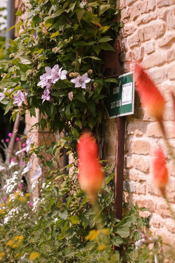 Les Chambres Du Chat Sainte-Cécile Esterno foto